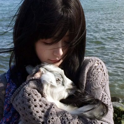 寅次郎的故事9 柴又慕情海报