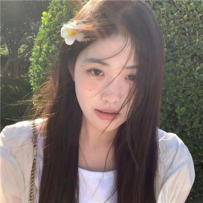 长毛狗海报
